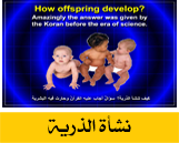 نشاة الذرية